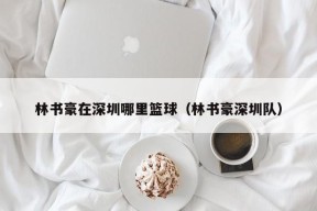 林书豪在深圳哪里篮球（林书豪深圳队）