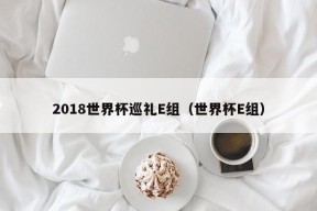 2018世界杯巡礼E组（世界杯E组）