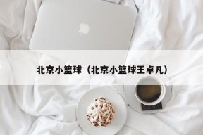 北京小篮球（北京小篮球王卓凡）