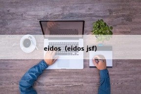 eidos（eidos jsf）