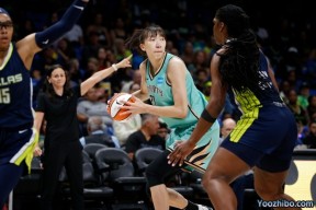 自由人91-73大胜飞翼  韩旭6+4 约内斯库13+9+7