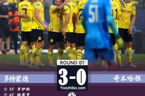 多特3-0哥本哈根 罗伊斯贝林厄姆破门雷纳两助攻