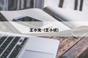 王小文（王小斌）