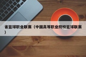 省篮球职业联赛（中国高等职业院校篮球联赛）