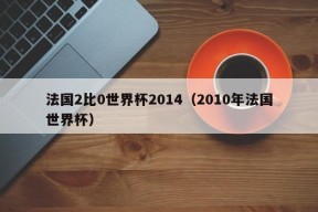 法国2比0世界杯2014（2010年法国世界杯）