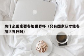 为什么国家要参加世界杯（只有国家队才能参加世界杯吗）