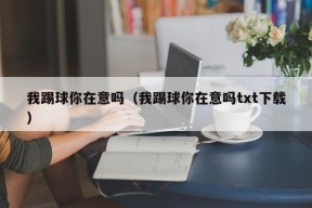 我踢球你在意吗（我踢球你在意吗txt下载）